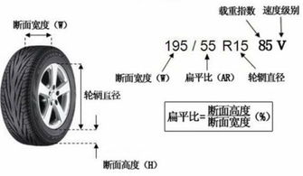 汽车弯曲半径多少合适